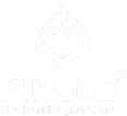 Pingus3-removebg-preview.png